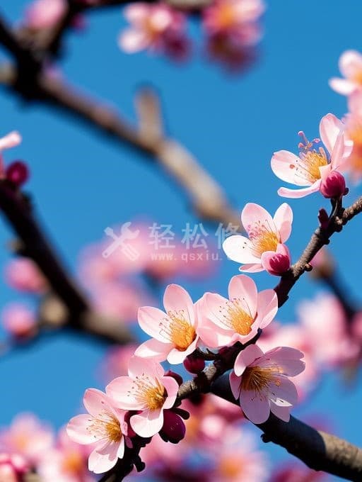 扬州伯爵手表维修中心地址_扬州伯爵手表售后服务点查询 扬州伯爵手表维修中心地址_扬州伯爵手表售后服务点查询