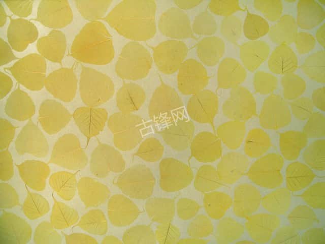 乐清墙纸安装师傅电话_乐清墙纸配送公司 乐清墙纸安装师傅电话_乐清墙纸配送公司